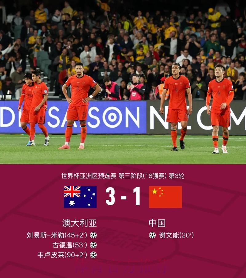 世界杯比分安卓热门